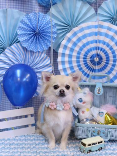 202321119とわくん